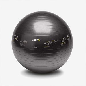 SKLZ Trainer Ball Fitness Equipment