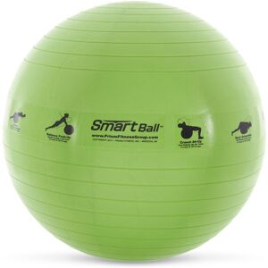 Prism Fitness 23 Inch Smart Self-Guided Fitness Stability Exercise Ball, Green - 0.45 0.45