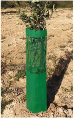 Protector de arbol o plantas Mixto Combinado (Malla - Liso) aplastado de 60cms de altura Proteje a la planta de las posibles agresiones tanto de animales como de tratamientos de fitos.
