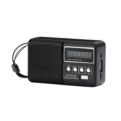 LIFA Radio FM digital pequeño con Bluetooth y entradas USB y tarjeta SD, radio portátil recargable WS2319