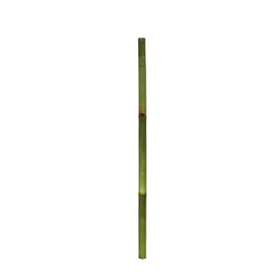 Gerimport Palo de Bambú Verde 7 x 150 cm - Decoración Natural y Versátil para Arreglos Florales, Soportes de Plantas y Proyectos Creativos, Ideal para Interiores y Exteriores, Aporta Estilo y Frescura
