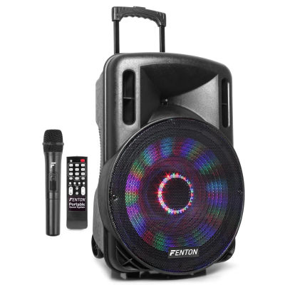 Altavoz Portatil Fenton 15" 800w BT con Microfono y Entrada de Guitarra