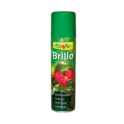 BRILLO PLANTA NATURAL 800cc flower