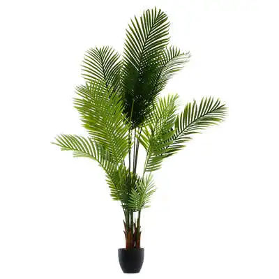 Factory Cuadros Palmera con Maceta, 170 Cm de Alto / Planta Artíficial