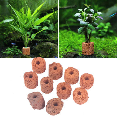 Anillo de fijación para plantas de acuario, filtro de tanque de agua fijo de 10 piezas, herramienta de fijación para plantas de medios acuáticos, anillos de cerámica Gravity