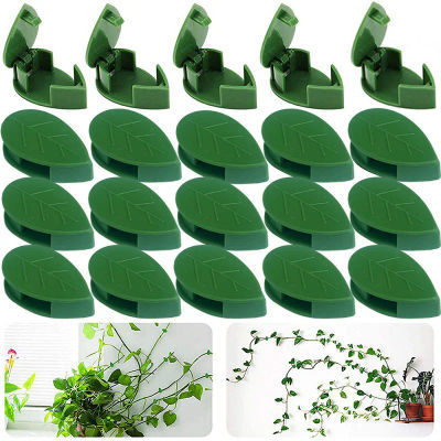 Accesorio de pared trepador de plantas, soporte de vid de ratán, hebilla fija, Clips de hojas, soporte de tracción, Clip de fijación de plantas, herramienta de jardín