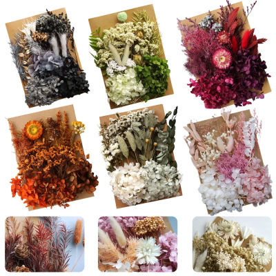 1 Juego de plantas naturales preservadas, materiales de flores reales secas, velas de resina epoxi, materiales florales DIY, flor de hortensia