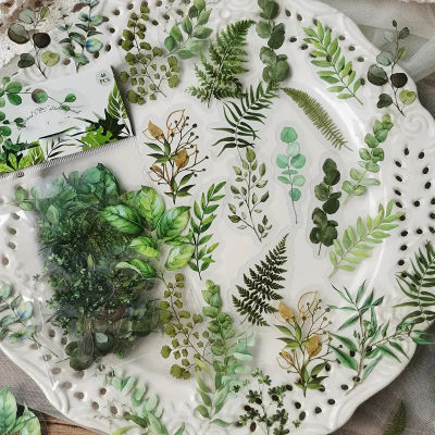 JIANQI 40 Uds pegatinas de flores de plantas naturales DIY álbum de recortes Material PET manual taza de agua planta pegatina transparente