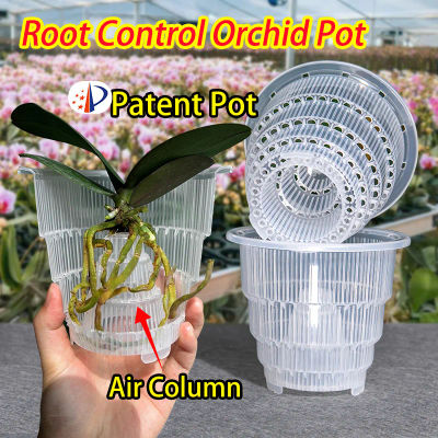 Maceta de malla para decoración del hogar, macetas de orquídeas transparentes con agujeros, maceta de plantas de orquídeas Dendrobium de Cattleya, Cachepot en 10cm, 12cm y 15cm