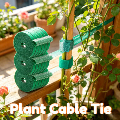 Cinta autoadhesiva de nailon verde para plantas, ajustable, con gancho y bucle, soporte para plantas, cinta de jardín, vendaje reutilizable, tiras de cinta de sujeción.