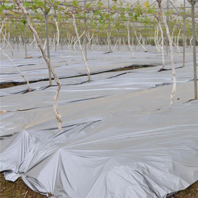 Película de plástico reflectante negra plateada para macetas, cubierta para el cuidado de plantas y frutas de jardín, 25m, 0.012mm
