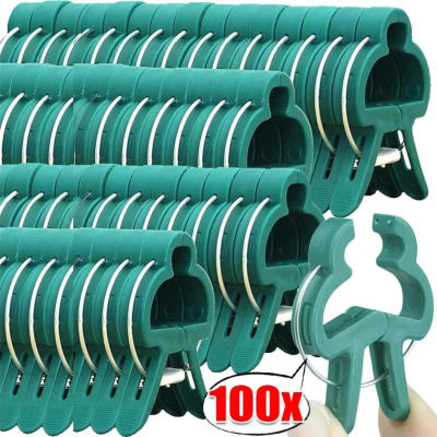Clips fijos para plantas, soporte reutilizable para invernadero de jardín, abrazadera de escalada de vid, sujetador de soporte para flores y tomates, 10/100 Uds.