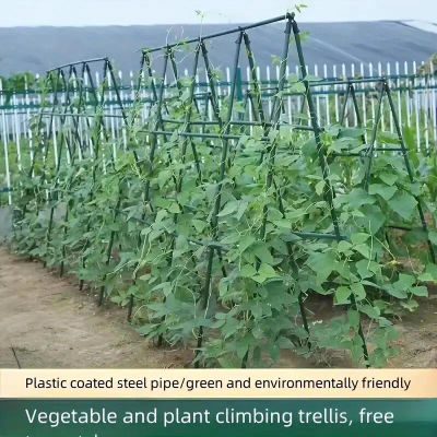 Estacas de soporte multiusos para plantas, enrejados duraderos de verduras y vid para tomates, pepinos y uvas, paquete de 20