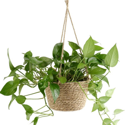 Cesta colgante de paja para jardín, maceta de mimbre tejida, cesta de ratán, maceta colgante para orquídeas, recipiente colgante para plantas