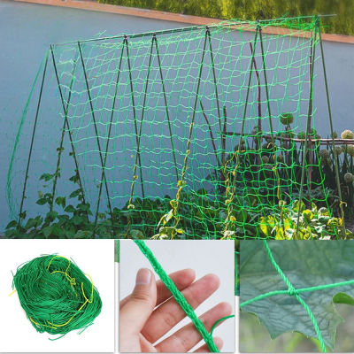 Red de rejilla hortícola para jardín, red antiviento y antienvergimiento para enredaderas, pepino, flor de gloria matutina, red de escalada para plantas de uva, 1 ud.