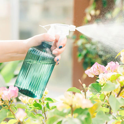Regadera de 500ml para el hogar, hervidor en aerosol para plantas de gran capacidad, regadera de siembra de primavera, accesorios de jardinería
