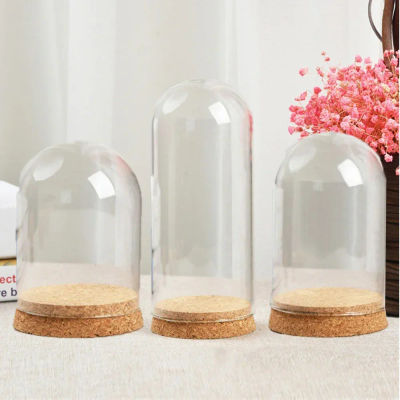Cubierta de campana de cúpula de cristal, Base de corcho de madera, soporte para micropaisaje, tarro de campana para plantas de flores DIY, florero, adornos de mesa, decoración del hogar