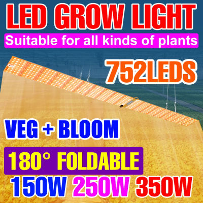 Luz LED de cultivo de plantas de 350W, lámpara de tablero cuántico de espectro completo, AC100-277V de cultivo de vegetales de invernadero hidropónico de flores de interior