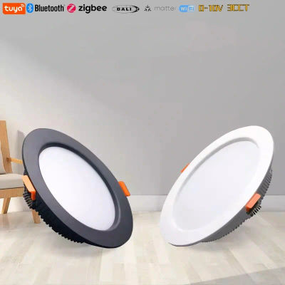 Lámpara de Techo LED Empotrada Ultrafina Inteligente TUYA, Dali Bluetooth Zigbee 0-10V 3CCT, Regulable, AC110V 220V, Iluminación Interior
