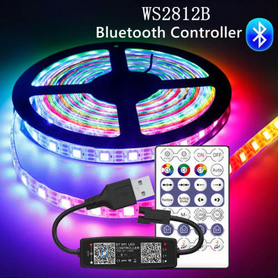 Tira de LED WS2812B direccionable individualmente tira de LED RGB inteligente resistente al agua con 28 teclas Kit de controlador de música Bluetooth DC5V