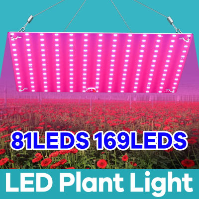 Luz LED de relleno para cultivo de plantas, tablero cuántico de espectro completo, lámpara de Panel hidropónico, caja de crecimiento, iluminación de cultivo en invernadero, 110V/220V