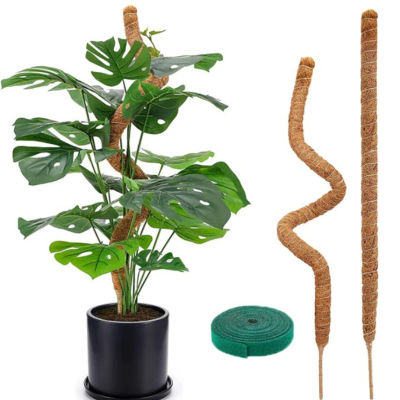 Poste de musgo flexible, poste de extensión de soporte para trepar plantas, estacas de Soporte de vides de palma Monstera, accesorios para plantas en macetas de jardín