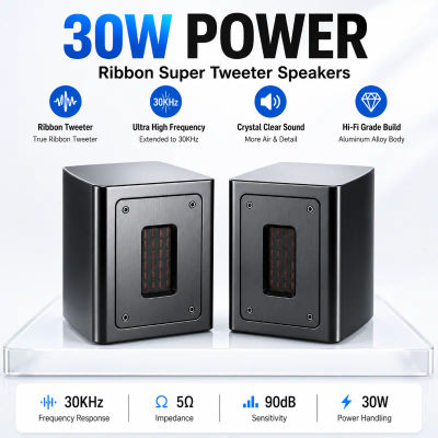 5Ohm nueva fiebre cinta independiente Super Tweeter externo Tweeter altavoz pasivo caja de sonido 30W extensión