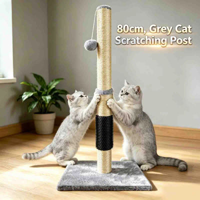 Centro de Actividades y Rascador para Gatos Gris de 80 cm - Árbol de Escalada Alto para Gatos con Cuerda de Sisal, Pelota Colgante y Base Pesada Cubierta de Alfombra, Protector de Muebles y Juego