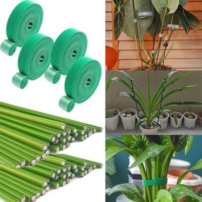 Brida para cables de nailon autoadhesiva para plantas, gancho ajustable verde para plantas, estacas de sujeción reutilizables, estacas de soporte flexibles para jardín