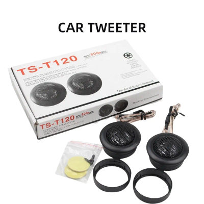 1 par MAX 800W altavoz de coche 12V Universal sistema de coche de alta eficiencia altavoz Tweeter TS-T120 caja de sonido automática altavoz estéreo de coche