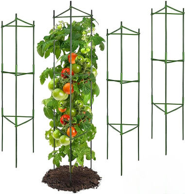 Jaula para tomate, hasta 51 pulgadas de estacas para plantas, rejillas para verduras ensambladas para plantas trepadoras de jardín, verduras y flores