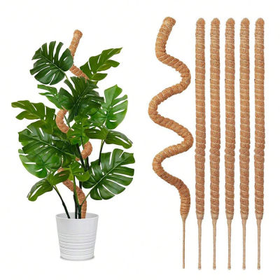Poste de musgo para plantas, soporte para Monstera, estacas para plantas trepadoras de interior, espaldera de jardín, palo para plantas en maceta