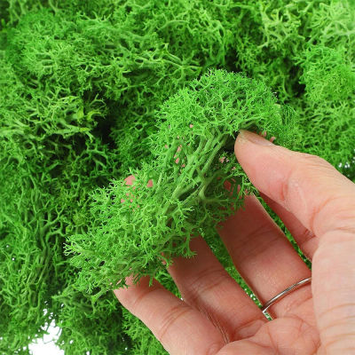 200g plantas verdes artificiales paisaje Mini vida eterna musgo hierba falsa jardín sala de estar decoración del hogar manualidades DIY