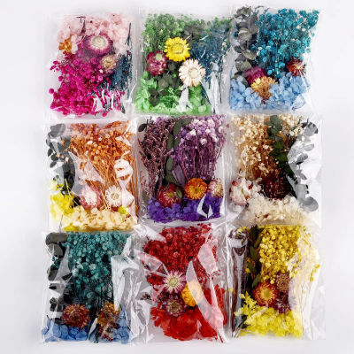 Mezcla de flores secas para hacer joyería de resina, manualidades, plantas artesanales, pegatinas de flores prensadas, herramienta para hacer velas, decoración artística de uñas