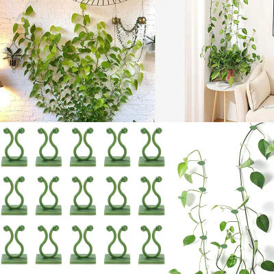 Clips de fijación de pared para plantas trepadoras, fijador de vid de ratán, gancho autoadhesivo, Clip Invisible para encuadernación de jardín, Clip adhesivo de pared, 10/30/50 Uds.
