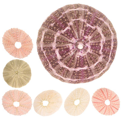 Juego de 7 Soportes para Plantas con Forma de Concha de Erizo de Mar, Bordes Lisos, Maceta para Plantas Aéreas, Decoración para Hogar, Oficina, Dormitorio, Galería de Arte, Luau