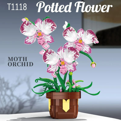 Phalaenopsis-bloques de construcción de plantas en maceta, modelo de flores, rompecabezas, juegos de juguetes, regalos de cumpleaños, Navidad y Año Nuevo, 323 Uds.
