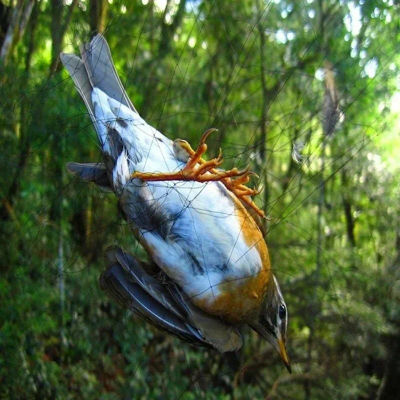 Malla antiaves de 15m, Red de niebla para agricultura, protección de huerto, suministro antidaños, accesorios de jardín, red antiaves para plantas