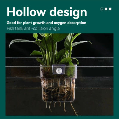 Burbujas de pescado, taza de hierba de agua para acuario, hidroponía de plantas múltiples, cesta de plantación hidropónica para paisaje de pecera