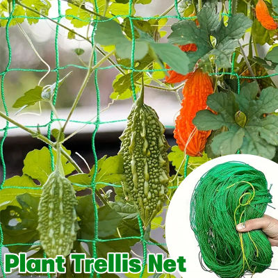 Red trepadora de plantas de nailon grueso de 0,9-5m, soportes para verduras de alta resistencia, red protectora, red de soporte para plantas de jardinería