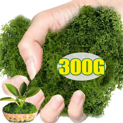 300/30g vida eterna musgo hierba Artificial musgo verde Mini paisaje hierba falsa DIY artesanía imitación planta preservada musgo decoración de jardín