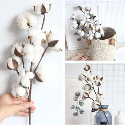 1 Uds. 10 cabezas de flores de algodón secas, plantas artificiales simples hechas a mano, rama Floral falsa Natural creativa