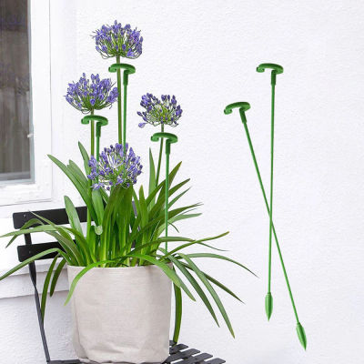 Poste de soporte en forma, soporte para flores, planta de soporte, planta en maceta, flor fija, marco de protección antivaho y hojas