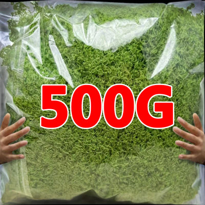 Plantas verdes artificiales de 500/30G, musgo de la vida eterna, Mini paisaje, hierba falsa, manualidades DIY, césped, jardín, hogar, habitación, decoración de macetas