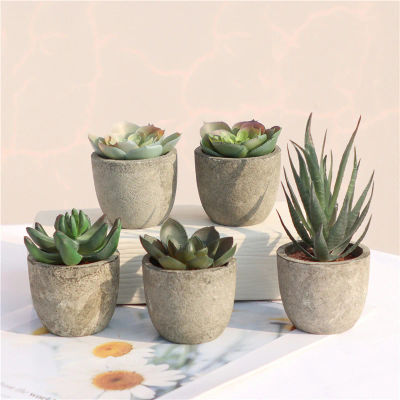 Mini plantas artificiales de Aloe, bonsái, árbol pequeño simulado, plantas en maceta, flores falsas, mesa de oficina, adornos en maceta, decoración del jardín del hogar