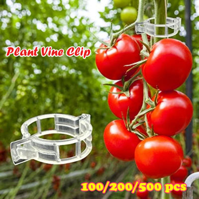 Clip de vid para plantas 100/200/500, abrazadera de soporte para atar el jardín para tallo, Clips de fijación de jardinería reutilizables para plantas, transparente