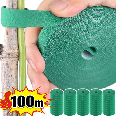 Brida para cables de nailon autoadhesiva, soporte de bucle de gancho ajustable verde para plantas, vendaje de hilo de jardín, tiras de cinta de sujeción reutilizables