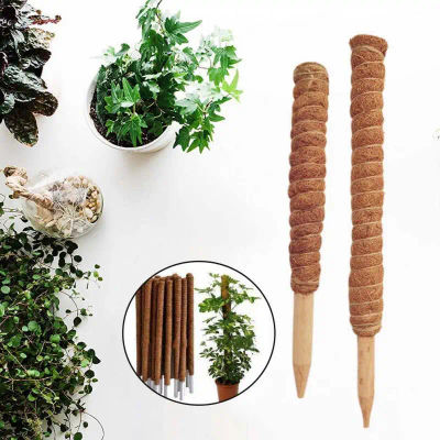 1 Pieza de 30/50cm, Poste de Coco para Plantas Trepadoras, Soporte Seguro para Jardinería, Varilla de Coco para Plantas Trepadoras, Enredaderas y Cimbreantes