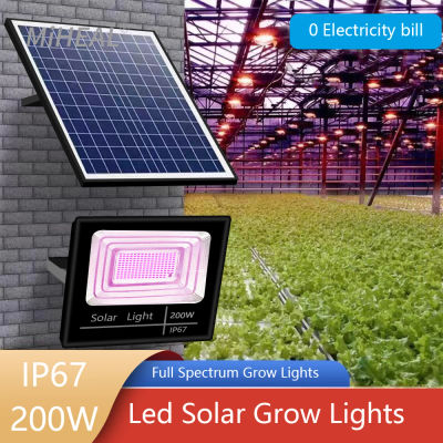 Lámpara LED de espectro completo para Cultivo, reflector de luz Solar de 200W para plantas, flores, invernadero, jardín, Cultivo hidropónico