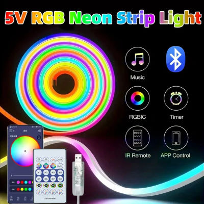 Tira de Luces LED RGBIC de Colores de Ensueño de 5V, Alimentada por USB, con Bluetooth, Sincronización con Música a través de Aplicación, para Fiestas, Navidad, Lámpara Ambiental para Dormitorio